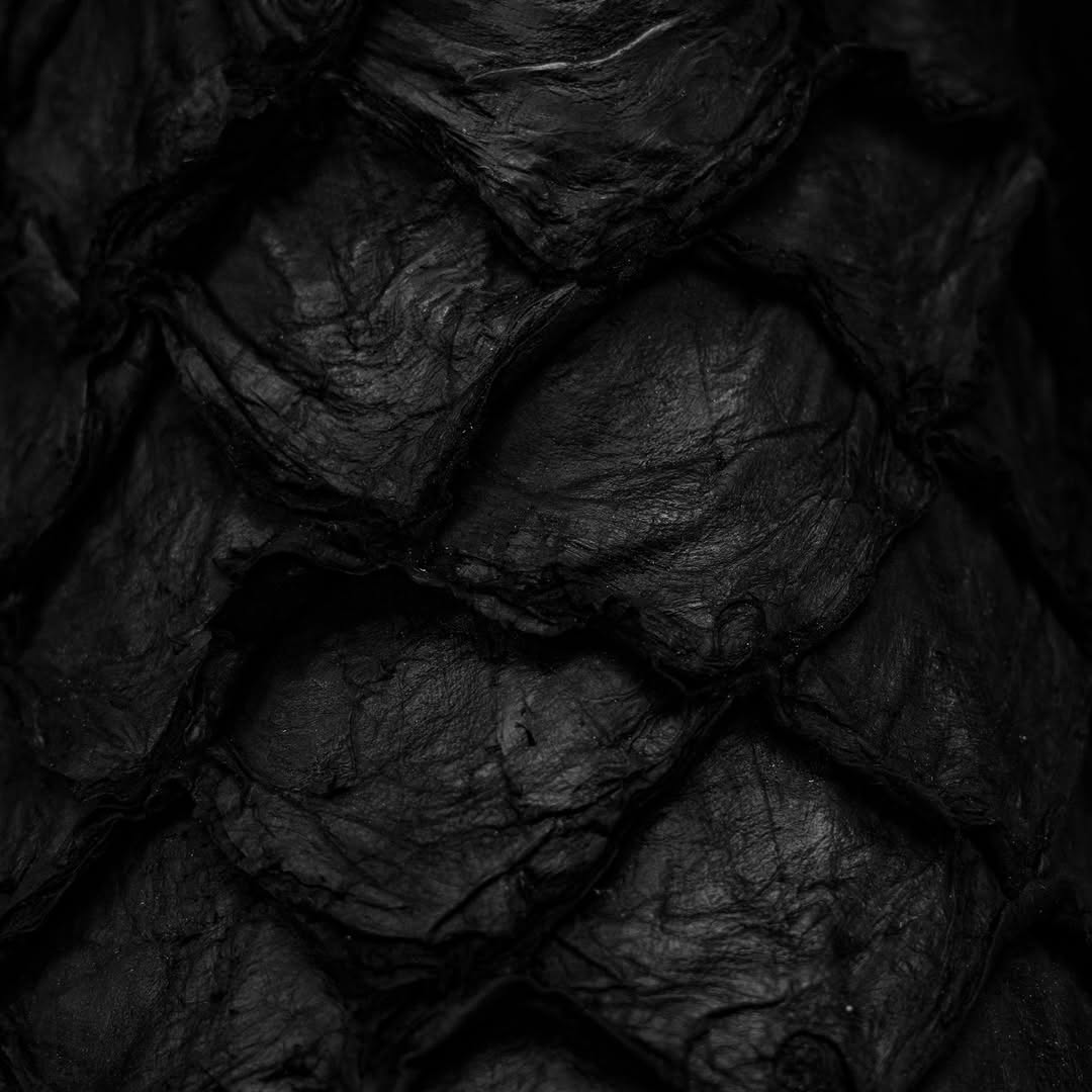 Black Caiman Horn Handmade Boots