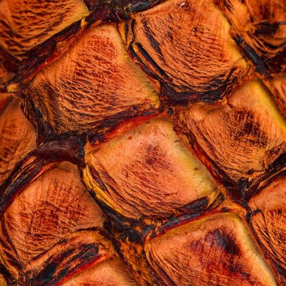 Genuine Pirarucu Exotic Boots – Brown Shaft – Western Style